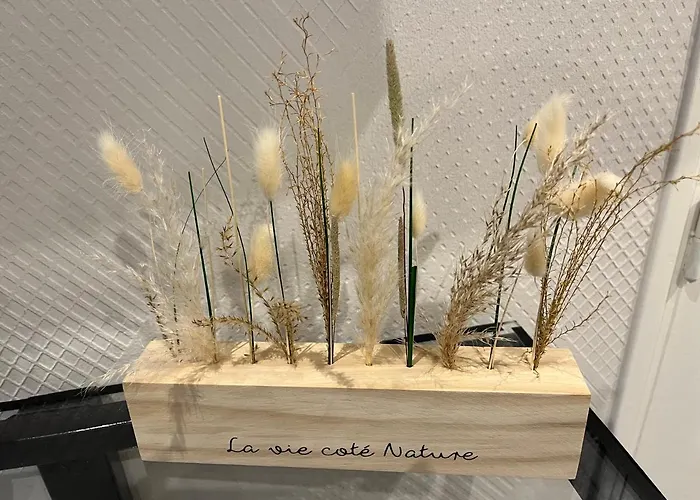 Duplex Cosy En Hyper Centre *