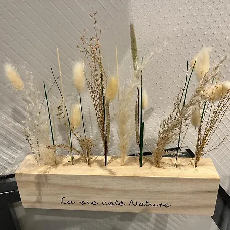 Duplex Cosy En Hyper Centre *